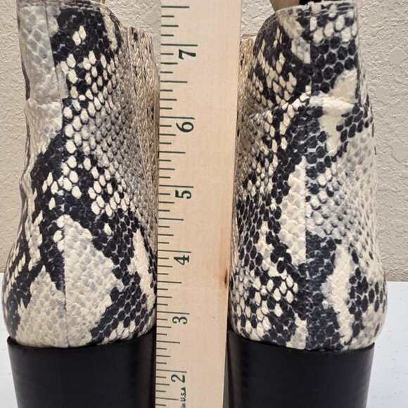 Snakeskin Booties Women's Size 9 Fall Ankle Boots Steve Madden Block Heel - Picture 7 of 11
